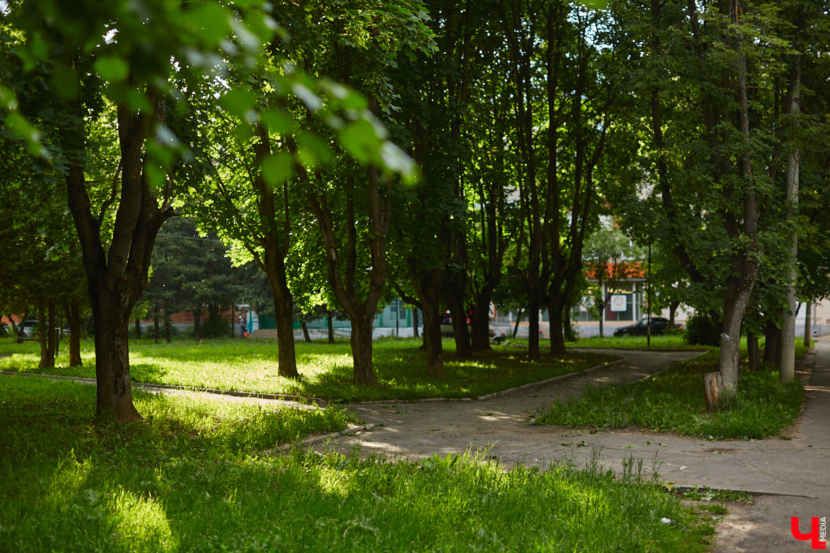 Вчера стало известно, какие общественные пространства в городе приведут в порядок следующим летом. Победителей в онлайн-голосовании за объекты для благоустройства, длившемся полтора месяца, оказалось два. «Ключ-Медиа» прогулялся по одному из мест для отдыха и оценил, так ли оно нуждается в переменах.