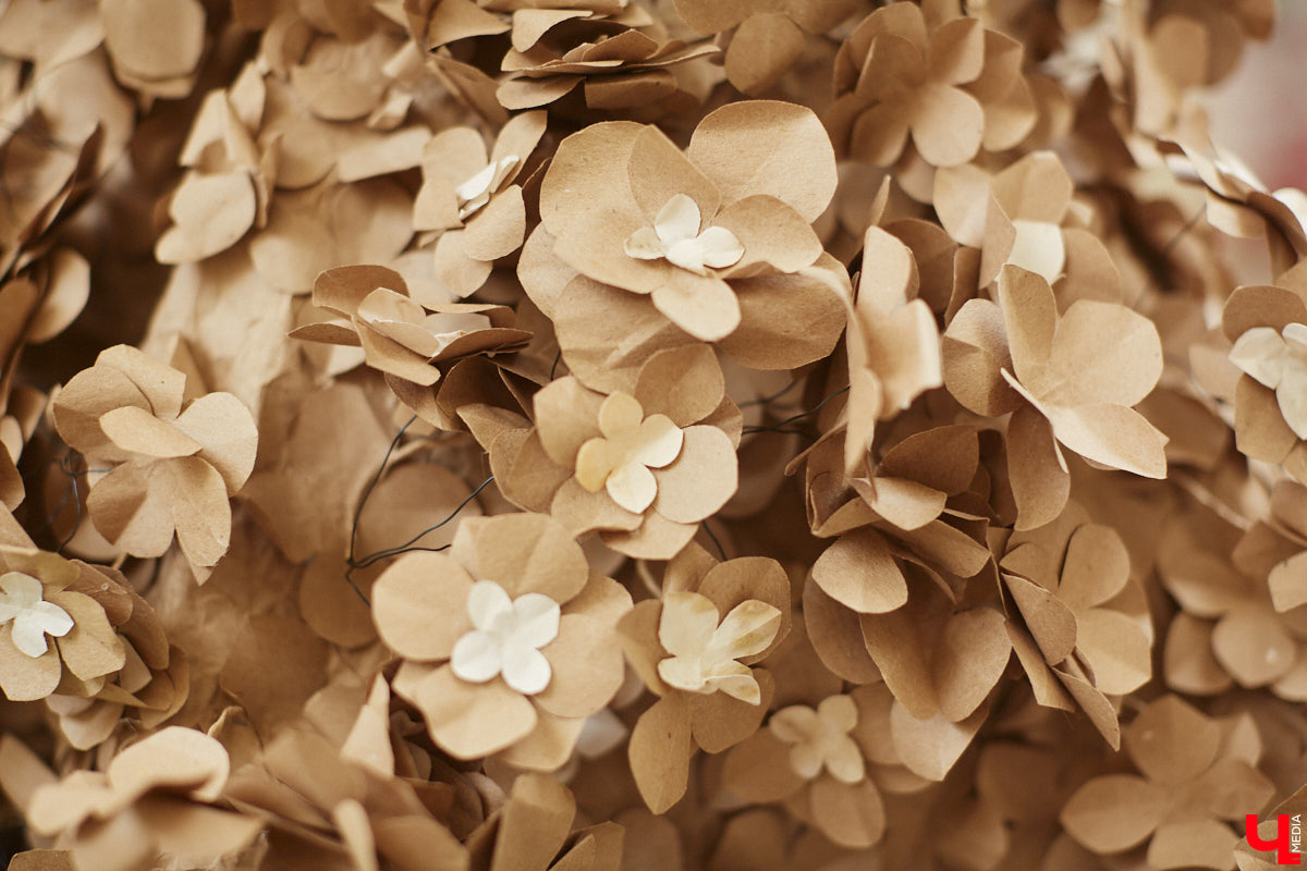 Коллекцию из 12 уникальных бумажных платьев, которая была создана в коллаборации дизайнеров из Владимира и Томска, теперь смогут увидеть и местные ценители прекрасного. А заодно примерить некоторые аксессуары. Смотрите фото с показа перед началом выставки и с последними приготовлениями к ее открытию.