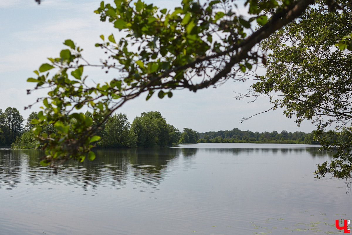 В дождевиках, но с улыбками! На озере Запольское прошел третий по счету субботник «Чистое озеро». Причем с подарками не только от организаторов мероприятия, но и от погоды. Уже третий год подряд неравнодушные граждане собираются вместе, чтобы проявить заботу об окружающей среде. Ну как мы могли пропустить такое важное событие, которое еще и завершилось BBQ-вечеринкой? Читайте и вы наш экологичный фоторепортаж.