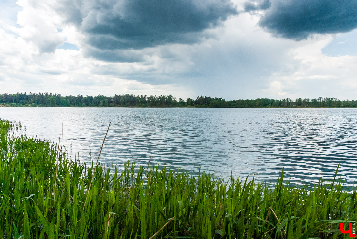 Владимирские дайверы в 19-й раз отметили День очистки водоемов. Любители плавания со специальным снаряжением привели в порядок водохранилище и берег карьеров на Улыбышево. Среди находок не только строительный мусор, обнаружили даже старый холодильник. Но главная новость в том, что раки, которых не было несколько лет, снова вернулись.
