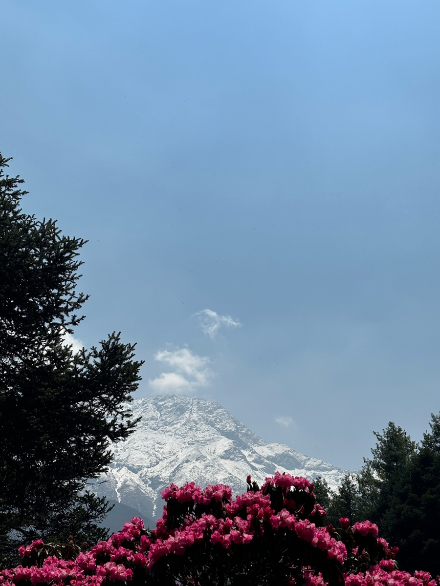 Светлана Котляр не просто покорила вершину самой высокой в мире горы. Весь сложный путь хрупкая девушка, которую на отдельных участках сдувал даже ветер, вела свой дневник. И эмоции от первого лица, написанные в моменте, сегодня невероятно интересно читать. Предлагаем вам погрузиться в экспедицию с участием ковровской «Мисс Горняшки».