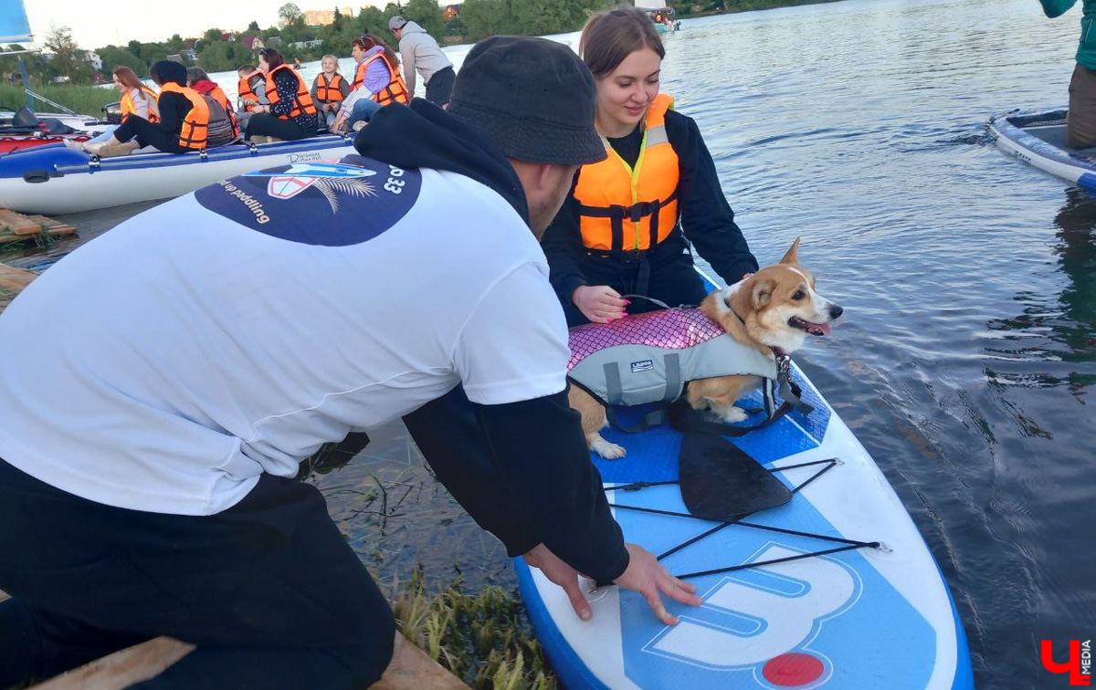 Маленькие владимирские пушистики породы корги и их хозяева продолжают собираться вместе, чтобы весело проводить время. Позади корги-маскарад, красная ковровая дорожка, дог своп-пати. Пришло время встать на доски, чтобы устроить летний массовый заплыв с четвероногими питомцами на sup-бордах!