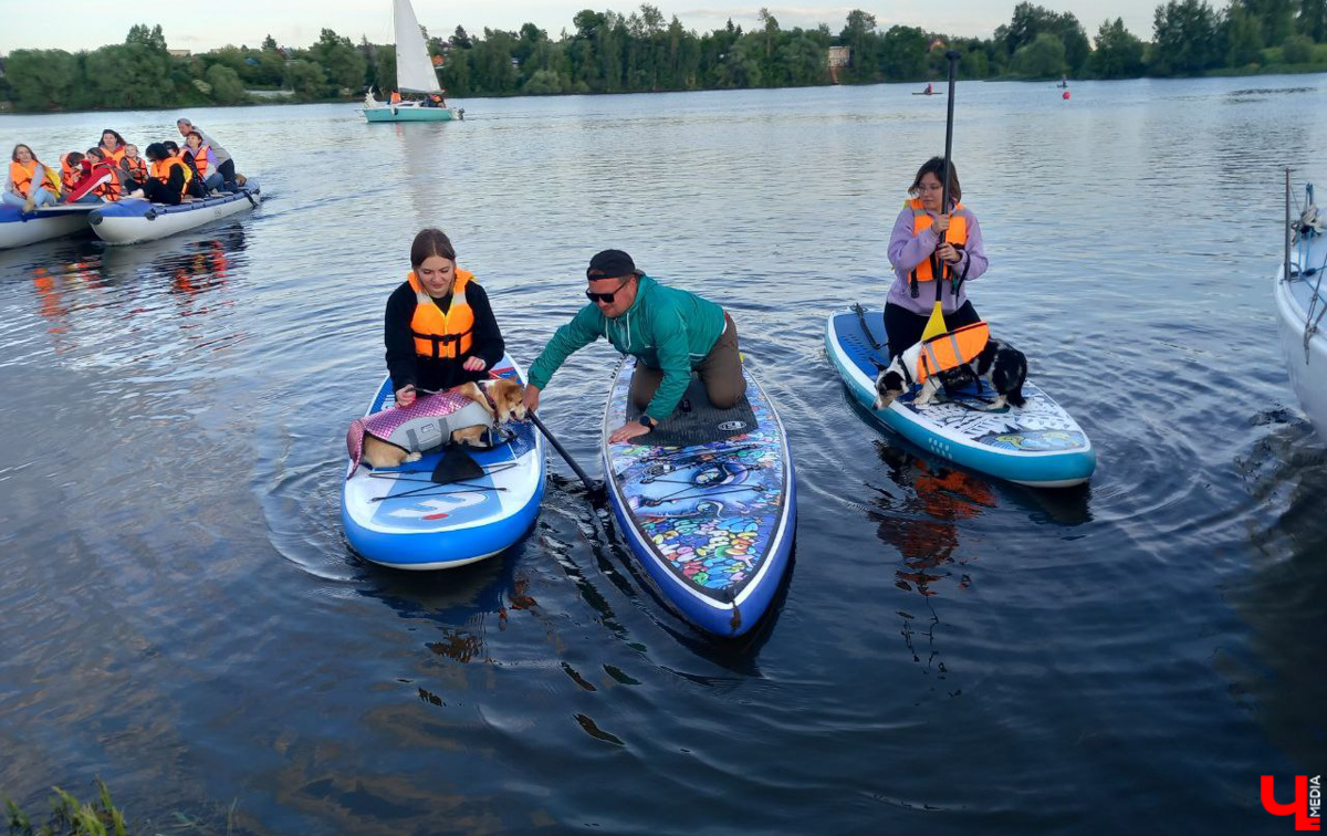 Маленькие владимирские пушистики породы корги и их хозяева продолжают собираться вместе, чтобы весело проводить время. Позади корги-маскарад, красная ковровая дорожка, дог своп-пати. Пришло время встать на доски, чтобы устроить летний массовый заплыв с четвероногими питомцами на sup-бордах!