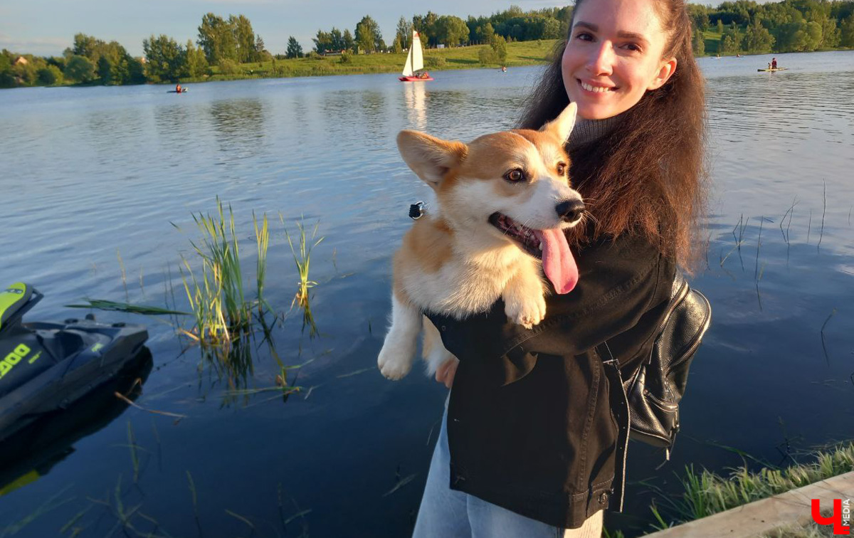 Маленькие владимирские пушистики породы корги и их хозяева продолжают собираться вместе, чтобы весело проводить время. Позади корги-маскарад, красная ковровая дорожка, дог своп-пати. Пришло время встать на доски, чтобы устроить летний массовый заплыв с четвероногими питомцами на sup-бордах!