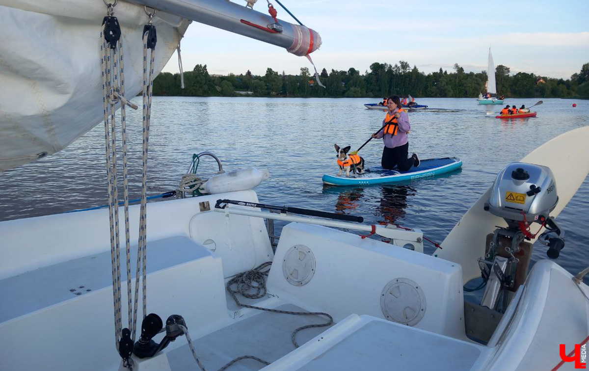 Маленькие владимирские пушистики породы корги и их хозяева продолжают собираться вместе, чтобы весело проводить время. Позади корги-маскарад, красная ковровая дорожка, дог своп-пати. Пришло время встать на доски, чтобы устроить летний массовый заплыв с четвероногими питомцами на sup-бордах!