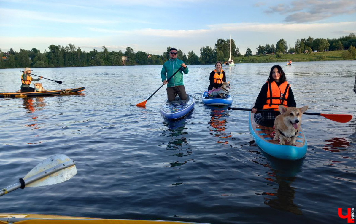Маленькие владимирские пушистики породы корги и их хозяева продолжают собираться вместе, чтобы весело проводить время. Позади корги-маскарад, красная ковровая дорожка, дог своп-пати. Пришло время встать на доски, чтобы устроить летний массовый заплыв с четвероногими питомцами на sup-бордах!