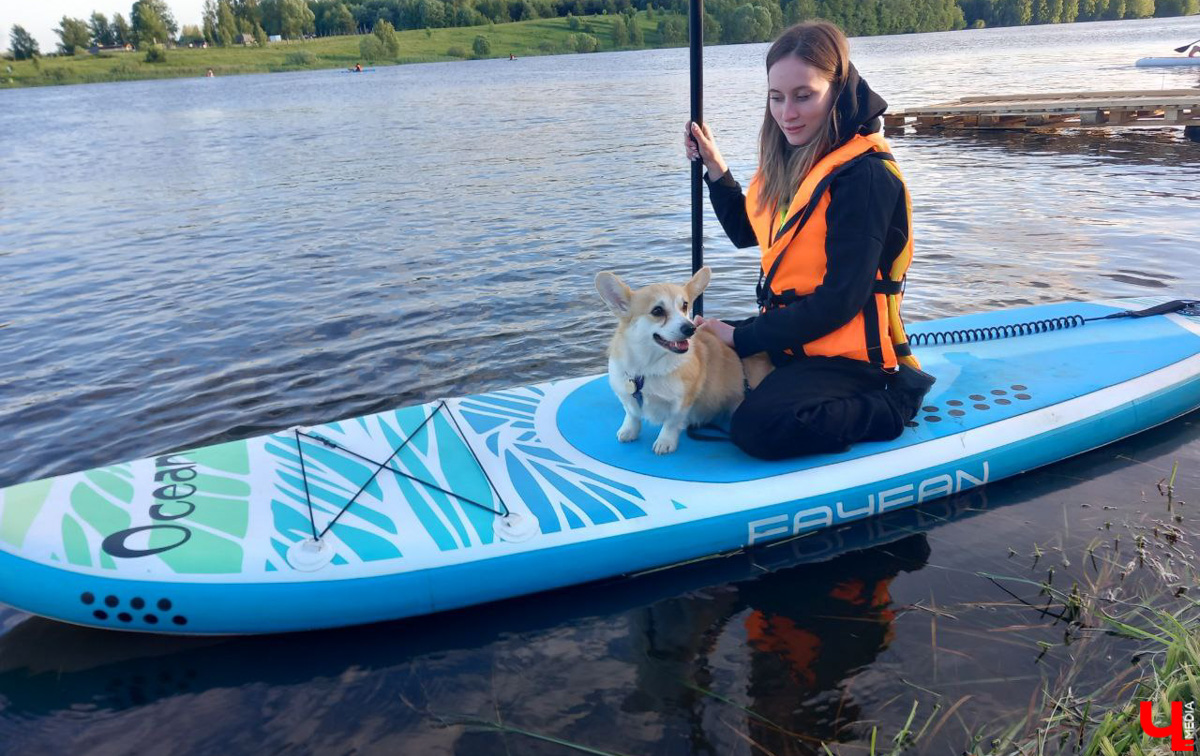 Маленькие владимирские пушистики породы корги и их хозяева продолжают собираться вместе, чтобы весело проводить время. Позади корги-маскарад, красная ковровая дорожка, дог своп-пати. Пришло время встать на доски, чтобы устроить летний массовый заплыв с четвероногими питомцами на sup-бордах!