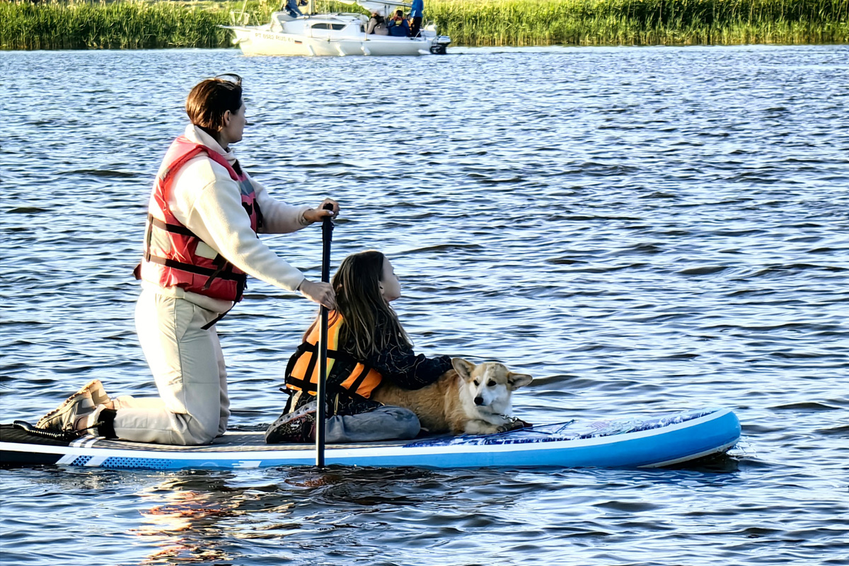 Маленькие владимирские пушистики породы корги и их хозяева продолжают собираться вместе, чтобы весело проводить время. Позади корги-маскарад, красная ковровая дорожка, дог своп-пати. Пришло время встать на доски, чтобы устроить летний массовый заплыв с четвероногими питомцами на sup-бордах!