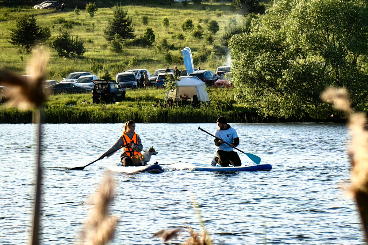 Маленькие владимирские пушистики породы корги и их хозяева продолжают собираться вместе, чтобы весело проводить время. Позади корги-маскарад, красная ковровая дорожка, дог своп-пати. Пришло время встать на доски, чтобы устроить летний массовый заплыв с четвероногими питомцами на sup-бордах!