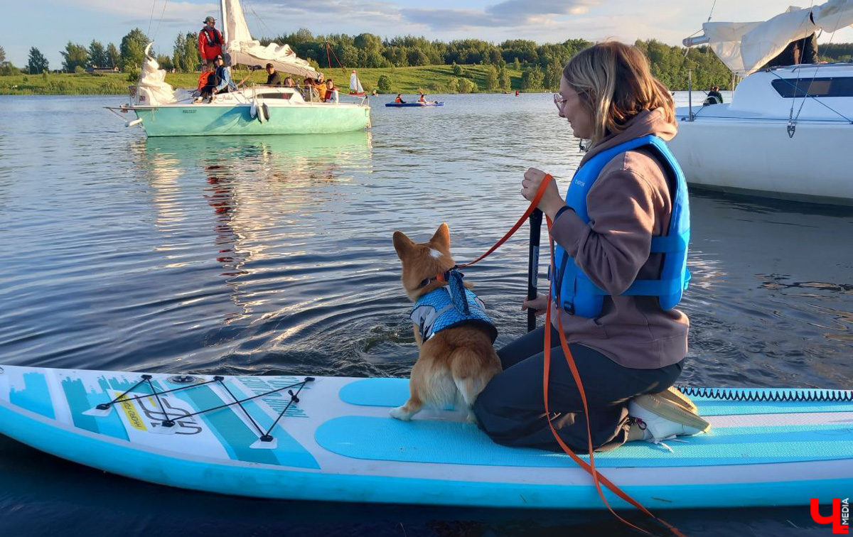 Маленькие владимирские пушистики породы корги и их хозяева продолжают собираться вместе, чтобы весело проводить время. Позади корги-маскарад, красная ковровая дорожка, дог своп-пати. Пришло время встать на доски, чтобы устроить летний массовый заплыв с четвероногими питомцами на sup-бордах!