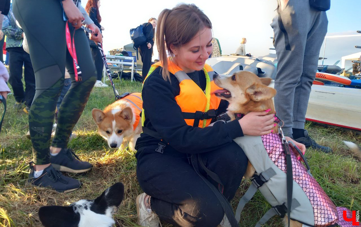 Маленькие владимирские пушистики породы корги и их хозяева продолжают собираться вместе, чтобы весело проводить время. Позади корги-маскарад, красная ковровая дорожка, дог своп-пати. Пришло время встать на доски, чтобы устроить летний массовый заплыв с четвероногими питомцами на sup-бордах!