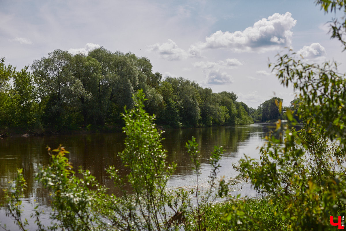 А почему бы нам не устроить экспресс-рыбалку, но что можно поймать всего за пару часов недалеко от центра города? Отвечаем на этот вопрос вместе с владимирским блогером Иваном Абашиным, который ведет свой канал о рыбалке. Берем спиннинг и отправляемся с ним на Клязьму, прямо под мост.