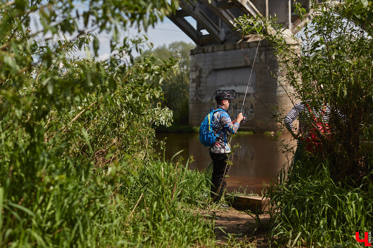 А почему бы нам не устроить экспресс-рыбалку, но что можно поймать всего за пару часов недалеко от центра города? Отвечаем на этот вопрос вместе с владимирским блогером Иваном Абашиным, который ведет свой канал о рыбалке. Берем спиннинг и отправляемся с ним на Клязьму, прямо под мост.