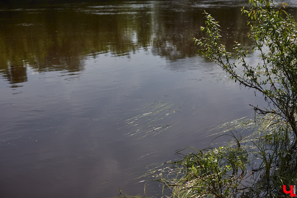А почему бы нам не устроить экспресс-рыбалку, но что можно поймать всего за пару часов недалеко от центра города? Отвечаем на этот вопрос вместе с владимирским блогером Иваном Абашиным, который ведет свой канал о рыбалке. Берем спиннинг и отправляемся с ним на Клязьму, прямо под мост.