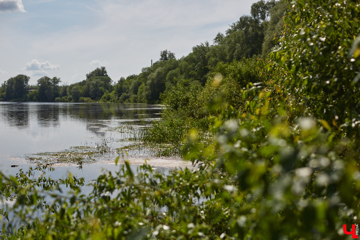 А почему бы нам не устроить экспресс-рыбалку, но что можно поймать всего за пару часов недалеко от центра города? Отвечаем на этот вопрос вместе с владимирским блогером Иваном Абашиным, который ведет свой канал о рыбалке. Берем спиннинг и отправляемся с ним на Клязьму, прямо под мост.