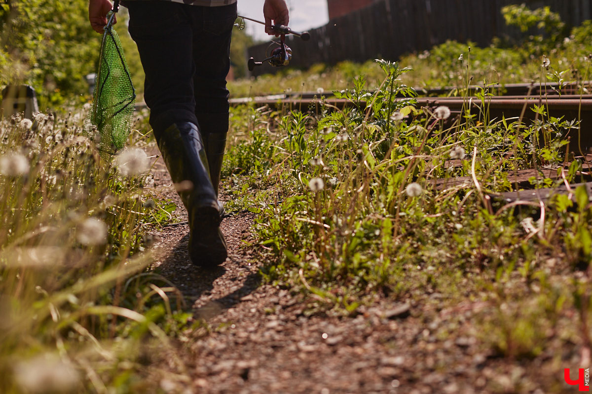 А почему бы нам не устроить экспресс-рыбалку, но что можно поймать всего за пару часов недалеко от центра города? Отвечаем на этот вопрос вместе с владимирским блогером Иваном Абашиным, который ведет свой канал о рыбалке. Берем спиннинг и отправляемся с ним на Клязьму, прямо под мост.