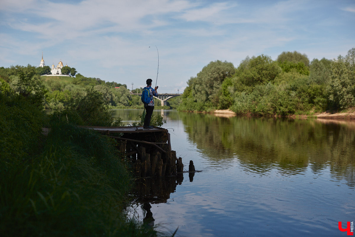 А почему бы нам не устроить экспресс-рыбалку, но что можно поймать всего за пару часов недалеко от центра города? Отвечаем на этот вопрос вместе с владимирским блогером Иваном Абашиным, который ведет свой канал о рыбалке. Берем спиннинг и отправляемся с ним на Клязьму, прямо под мост.