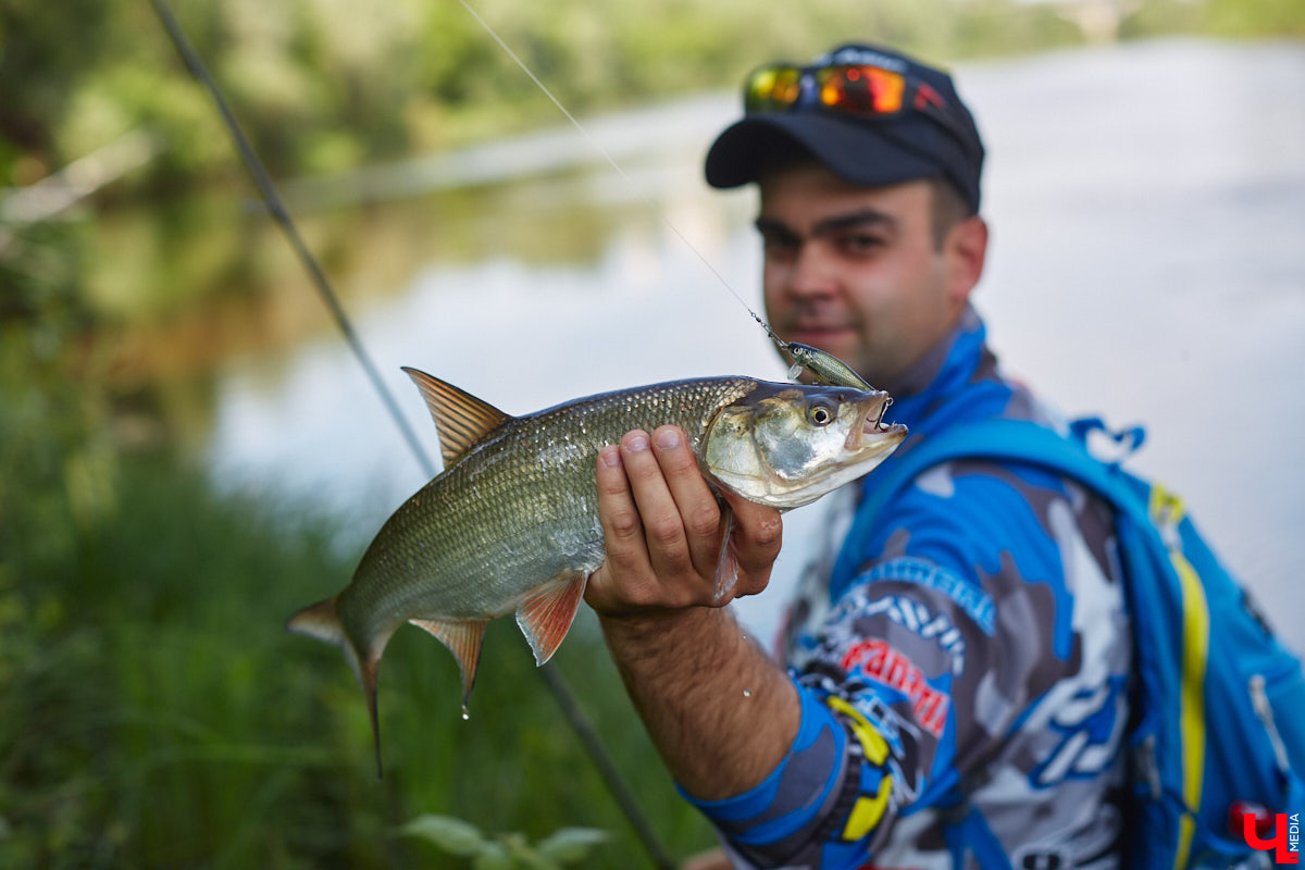 А почему бы нам не устроить экспресс-рыбалку, но что можно поймать всего за пару часов недалеко от центра города? Отвечаем на этот вопрос вместе с владимирским блогером Иваном Абашиным, который ведет свой канал о рыбалке. Берем спиннинг и отправляемся с ним на Клязьму, прямо под мост.