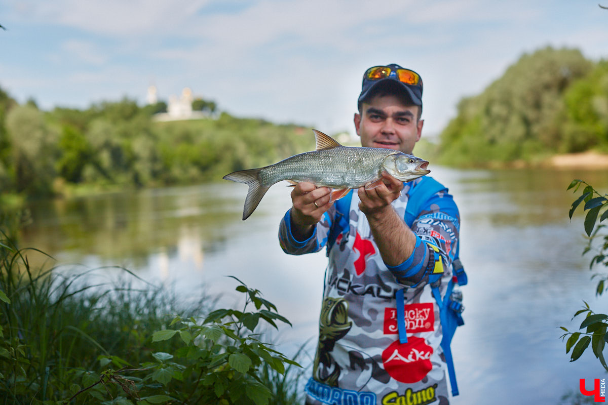 А почему бы нам не устроить экспресс-рыбалку, но что можно поймать всего за пару часов недалеко от центра города? Отвечаем на этот вопрос вместе с владимирским блогером Иваном Абашиным, который ведет свой канал о рыбалке. Берем спиннинг и отправляемся с ним на Клязьму, прямо под мост.