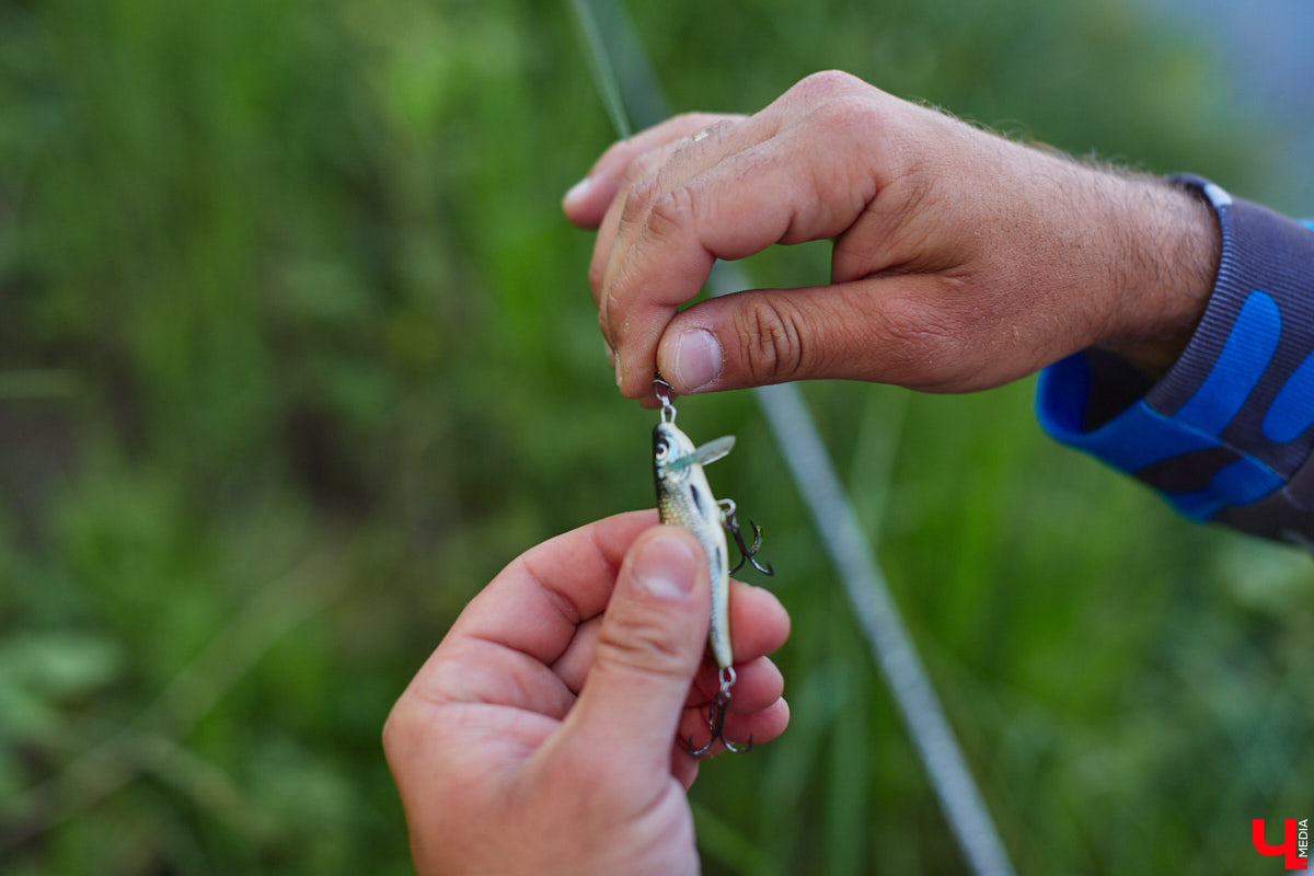А почему бы нам не устроить экспресс-рыбалку, но что можно поймать всего за пару часов недалеко от центра города? Отвечаем на этот вопрос вместе с владимирским блогером Иваном Абашиным, который ведет свой канал о рыбалке. Берем спиннинг и отправляемся с ним на Клязьму, прямо под мост.