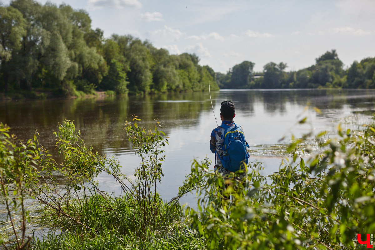 А почему бы нам не устроить экспресс-рыбалку, но что можно поймать всего за пару часов недалеко от центра города? Отвечаем на этот вопрос вместе с владимирским блогером Иваном Абашиным, который ведет свой канал о рыбалке. Берем спиннинг и отправляемся с ним на Клязьму, прямо под мост.
