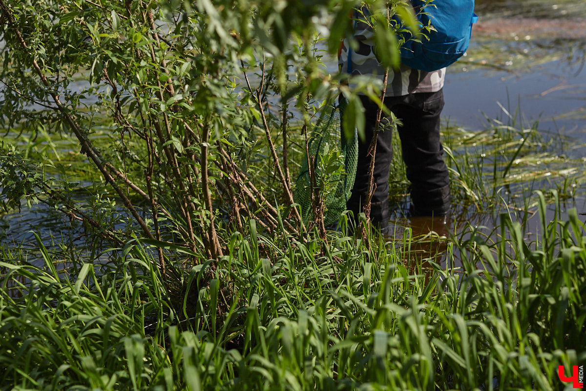 А почему бы нам не устроить экспресс-рыбалку, но что можно поймать всего за пару часов недалеко от центра города? Отвечаем на этот вопрос вместе с владимирским блогером Иваном Абашиным, который ведет свой канал о рыбалке. Берем спиннинг и отправляемся с ним на Клязьму, прямо под мост.