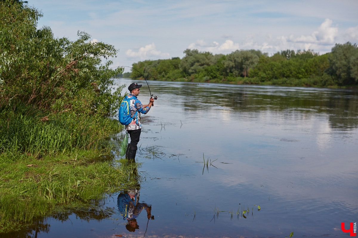 А почему бы нам не устроить экспресс-рыбалку, но что можно поймать всего за пару часов недалеко от центра города? Отвечаем на этот вопрос вместе с владимирским блогером Иваном Абашиным, который ведет свой канал о рыбалке. Берем спиннинг и отправляемся с ним на Клязьму, прямо под мост.