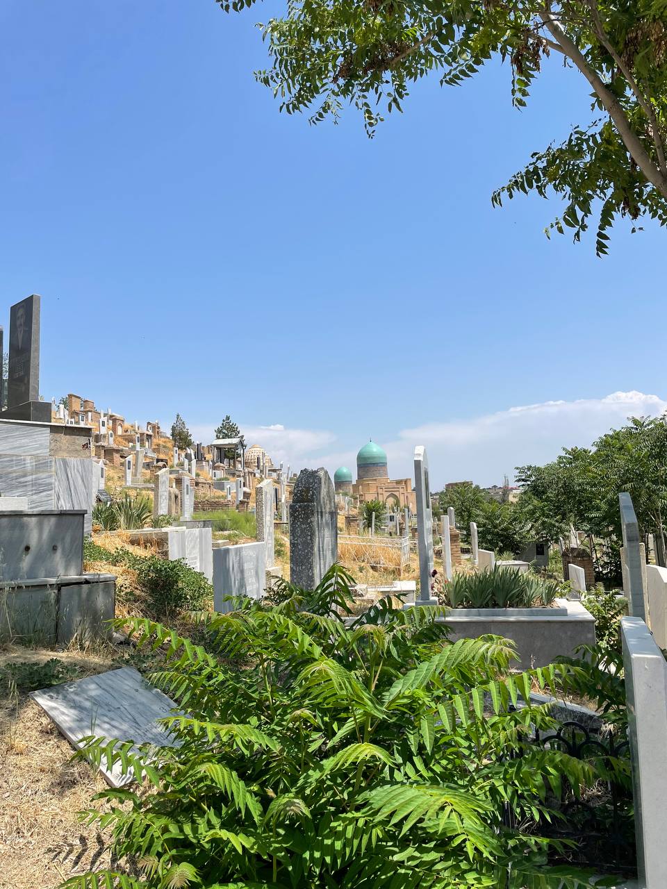 Вы уже определились, куда поедете этим летом? Если нет, рассмотрите вариант отдыха с восточным колоритом. Радиоведущая из Владимира Анастасия Колова побывала в Узбекистане и уверяет, это того стоит! Тем более что много денег на путешествие не потребуется.