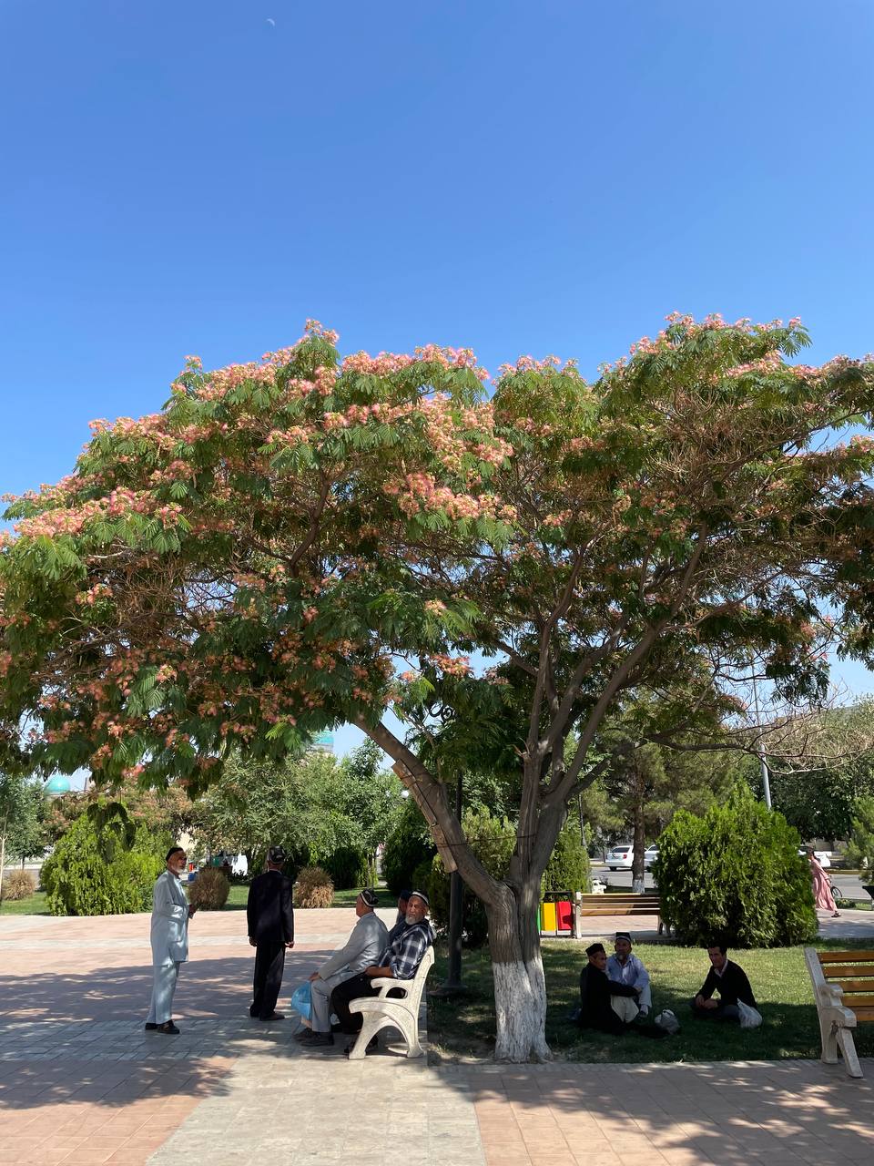 Вы уже определились, куда поедете этим летом? Если нет, рассмотрите вариант отдыха с восточным колоритом. Радиоведущая из Владимира Анастасия Колова побывала в Узбекистане и уверяет, это того стоит! Тем более что много денег на путешествие не потребуется.