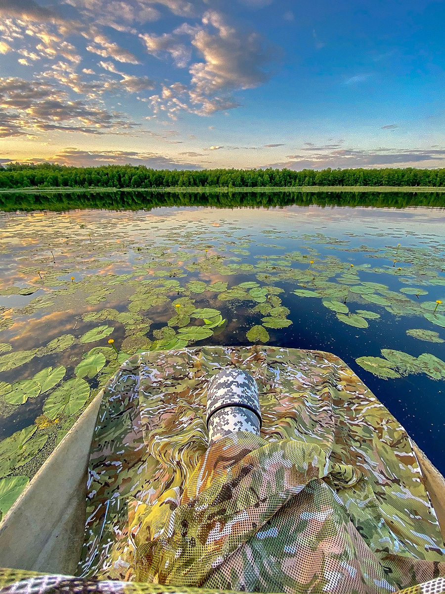 Вечер пятницы — самое время для красивых снимков, особенно если сделаны они в нашем регионе. Фотограф Владислав Тябин сумел поймать в объектив своей камеры удивительных водных птиц из семейства поганковых, да еще и с птенцами.