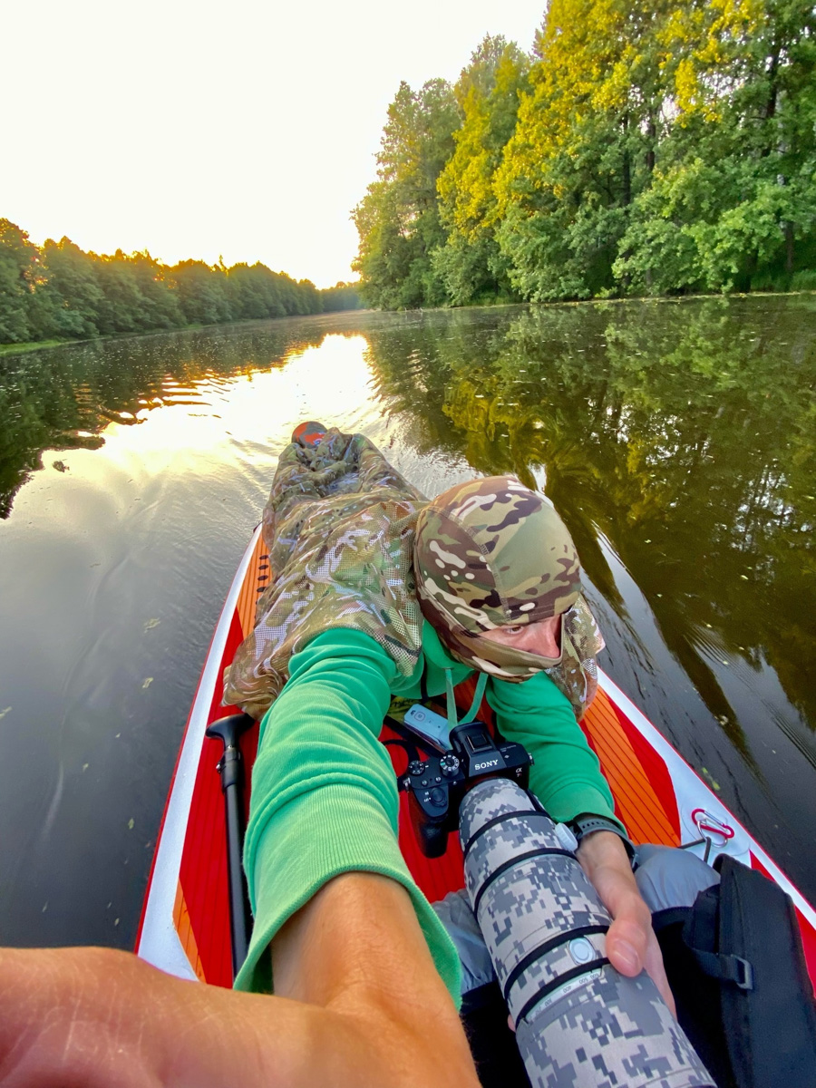 Вечер пятницы — самое время для красивых снимков, особенно если сделаны они в нашем регионе. Фотограф Владислав Тябин сумел поймать в объектив своей камеры удивительных водных птиц из семейства поганковых, да еще и с птенцами.