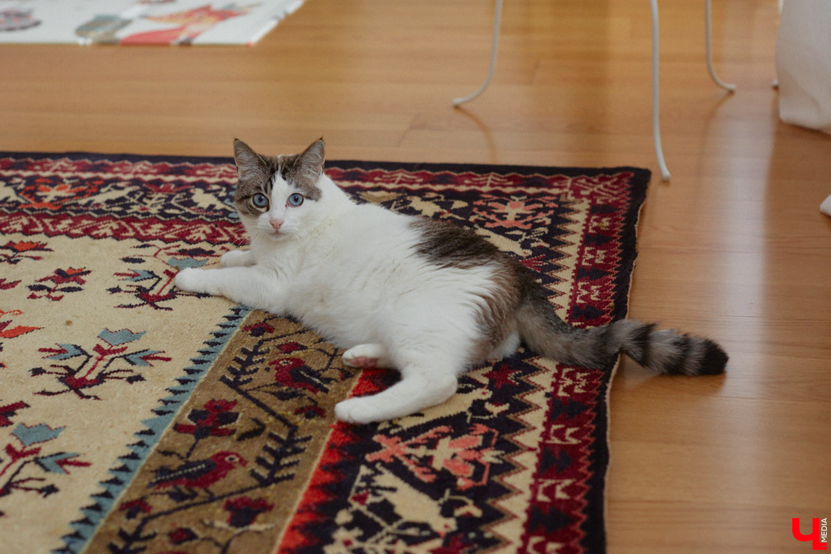 Она просила вернуть свою жизнь обратно, постоянно рыдала на руках у мужа. Анна Рябиничева признается, что никогда не мечтала о ребенке, и вполне откровенно делится своими мыслями по этому поводу. Как бывшая чайлдфри превратилась в заботливую маму, с какими трудностями на этом пути ей пришлось столкнуться и как теперь живется в декрете — читайте в нашем интервью.