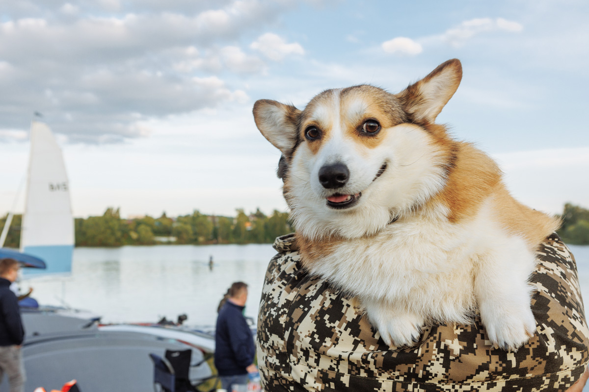 Только представьте себе: погожий летний день, пляж, вода, а на ней... парусники! А еще байдарки и сапы. Тем временем на берегу играют диджеи, вперемешку носятся дети и собаки, а взрослые чинно и не спеша устанавливают палатки или с интересом наблюдают за происходящим на водной глади. Именно таким — ярким, праздничным и одновременно по-домашнему уютным — предстал перед нами первый фестиваль водного спортивного отдыха «Параллель 56».