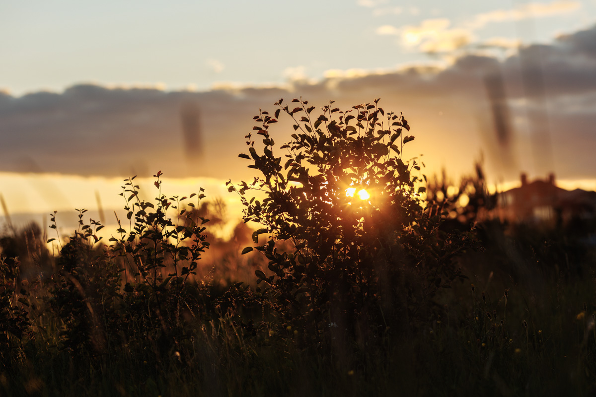 Только представьте себе: погожий летний день, пляж, вода, а на ней... парусники! А еще байдарки и сапы. Тем временем на берегу играют диджеи, вперемешку носятся дети и собаки, а взрослые чинно и не спеша устанавливают палатки или с интересом наблюдают за происходящим на водной глади. Именно таким — ярким, праздничным и одновременно по-домашнему уютным — предстал перед нами первый фестиваль водного спортивного отдыха «Параллель 56».