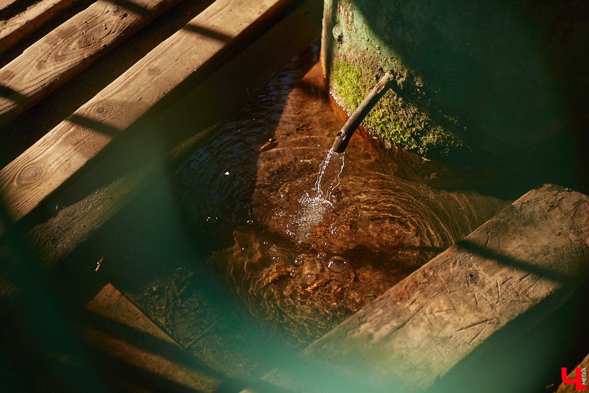 Хороших новостей много не бывает. После вмешательства общественности мэрия города изменила техническое задание к проекту благоустройства парка у ДДюТ. Из него убрали требование засыпать нижний пруд на улице Мира.