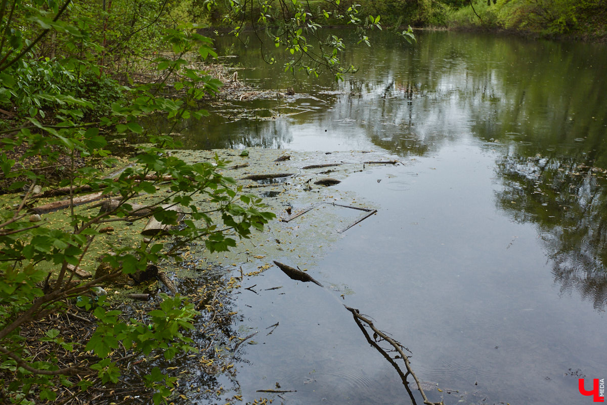 Хороших новостей много не бывает. После вмешательства общественности мэрия города изменила техническое задание к проекту благоустройства парка у ДДюТ. Из него убрали требование засыпать нижний пруд на улице Мира.