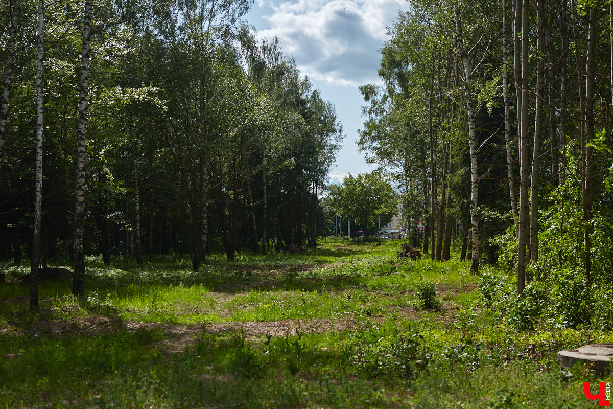 В популярном владимирском месте для отдыха завершается последний этап реновации. Благоустройство парка «Добросельский» заняло три года, прошло не без задержек и стоило больше 200 миллионов рублей. Мы наведались туда, чтобы показать вам, как выглядит рекреационная зона на данный момент.