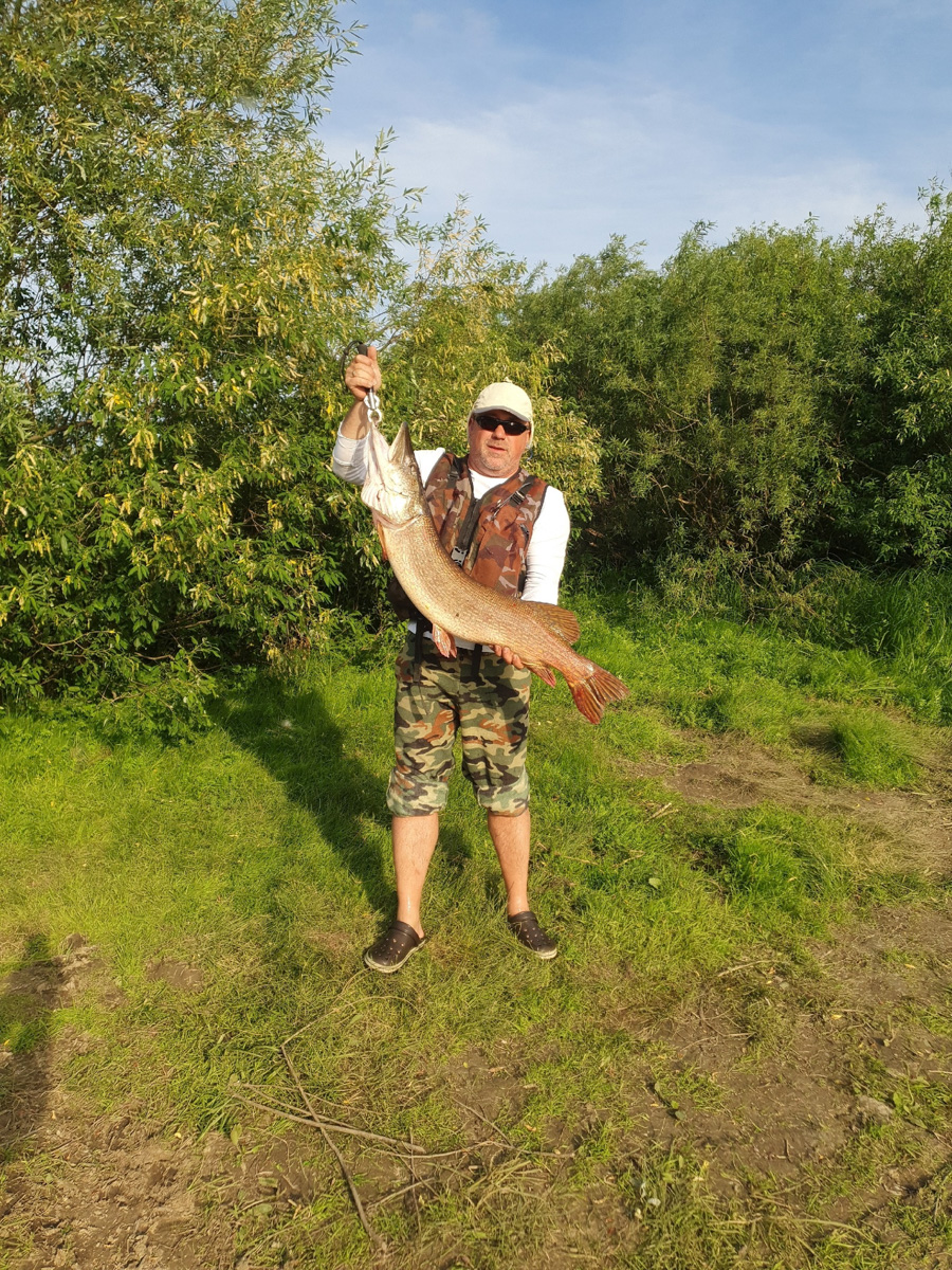 Как там ваша рыбалка проходит? Не клюет? А кому-то везет. Большая щука, жерех и два огромных сома, вес одного из которых достигает 29 килограммов — вот такой рекордный улов на данный момент у любителей посидеть с удочкой из нашего региона.