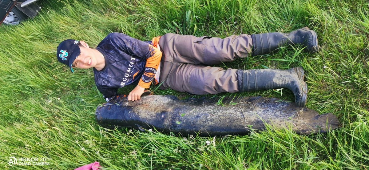 Как там ваша рыбалка проходит? Не клюет? А кому-то везет. Большая щука, жерех и два огромных сома, вес одного из которых достигает 29 килограммов — вот такой рекордный улов на данный момент у любителей посидеть с удочкой из нашего региона.