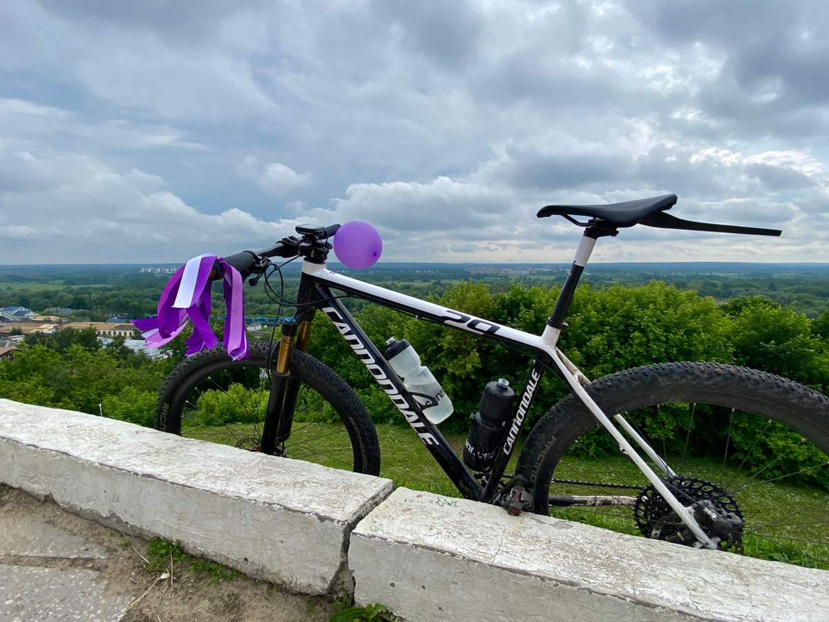 Нестандартные свадьбы — выбор по-настоящему творческих людей. Владимирцы Светлана и Артур точно из их числа. Главный день в своей жизни они решили провести на двухколесном транспорте, курсируя по знаменательным локациям города. Что вышло из этой затеи, выяснял «Ключ-Медиа».