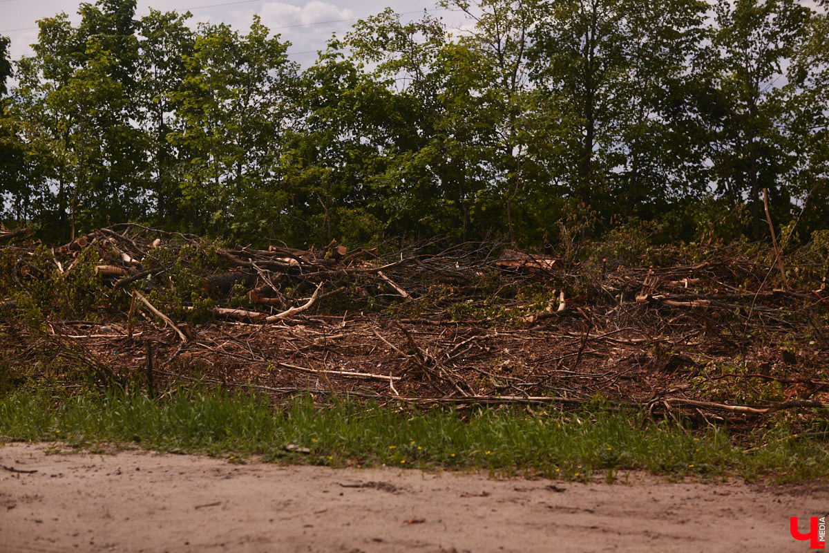Единственная муниципальная парковка в центре Владимира вновь стала бесплатной! Также до конца этого лета на улицы города должны выйти сразу сто новых автобусов только муниципального перевозчика. Первые 15 уже поступили и готовятся принять пассажиров. По традиции только этими новостями мы сегодня не ограничимся.