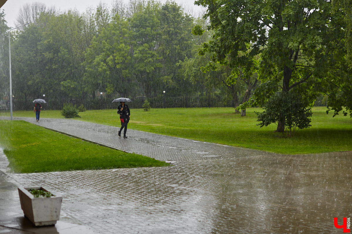 Обрадовались солнцу и теплу в начале недели и уже начали строить планы на выходные? Вынуждены вас предупредить: судя по всему, избежать осадков нам вновь не удастся. Июнь даже передаст дождливую эстафету июлю. Также синоптики обещают похолодание.