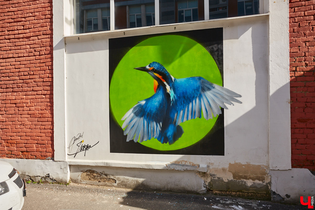 Совсем скоро во Владимире в третий раз пройдет фестиваль уличного искусства «Загфест» для художников, использующих в своем творчестве стены вместо бумаги. Где именно появятся новые рисунки — пока секрет. Зато известно, что их будет гораздо больше, чем в прошлом году. К тому же муралы станут куда масштабнее!