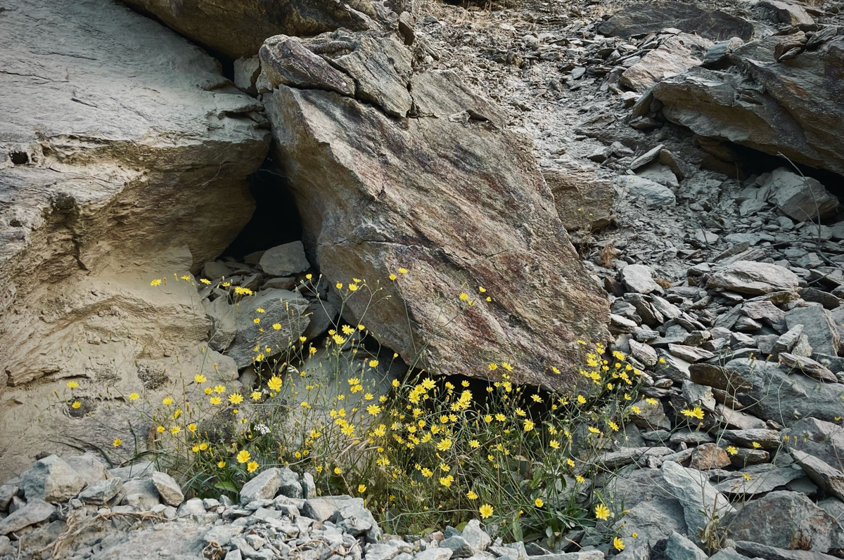 Владимирский путешественник Игорь Икшаков проехал через три страны на мотоцикле в сторону горной системы Памир. Весь путь через Казахстан, Узбекистан, Таджикистан и обратно занял у него 17 дней. Преодолеть пришлось почти девять тысяч километров. И без приключений в пути, естественно, не обошлось.