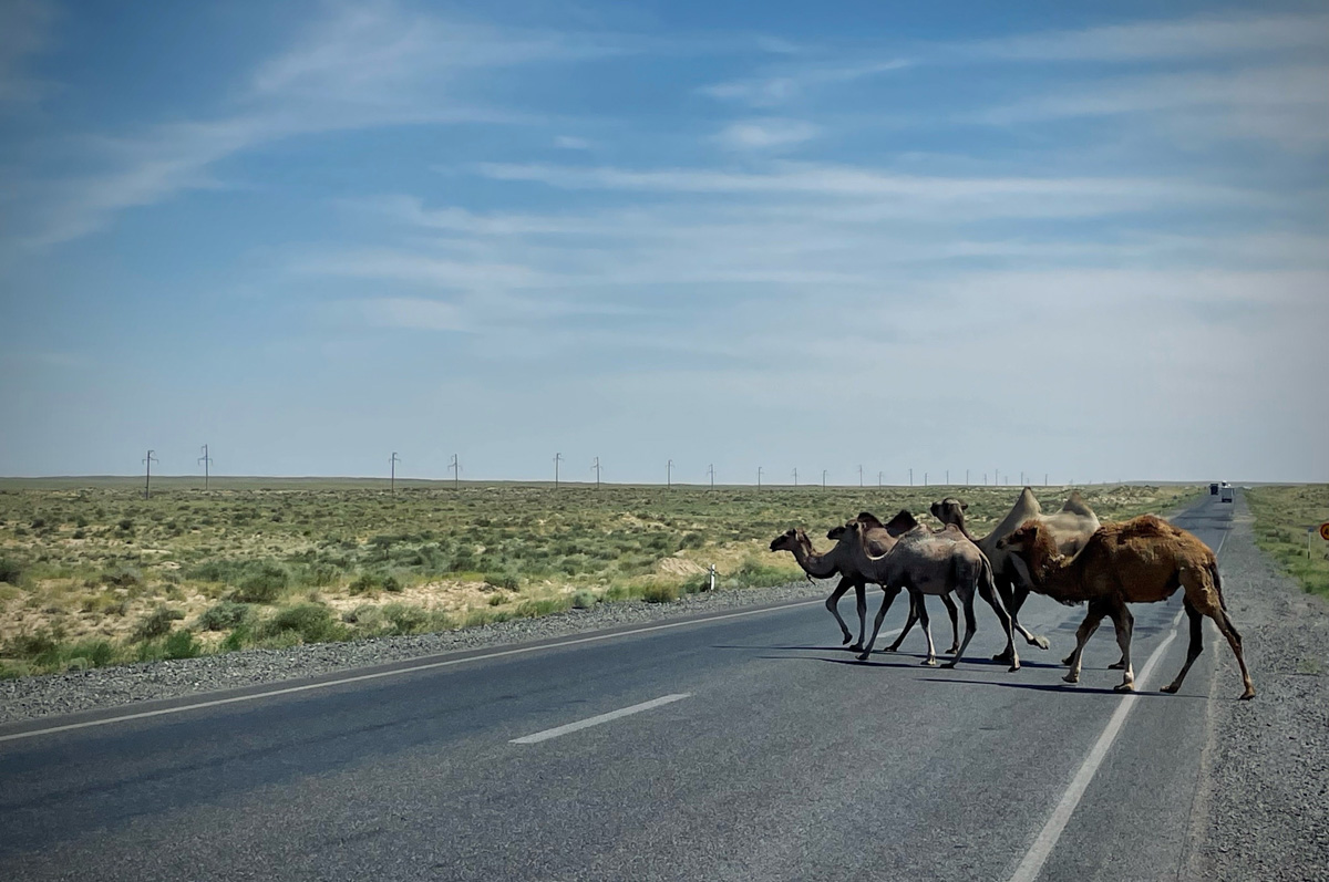 Владимирский путешественник Игорь Икшаков проехал через три страны на мотоцикле в сторону горной системы Памир. Весь путь через Казахстан, Узбекистан, Таджикистан и обратно занял у него 17 дней. Преодолеть пришлось почти девять тысяч километров. И без приключений в пути, естественно, не обошлось.