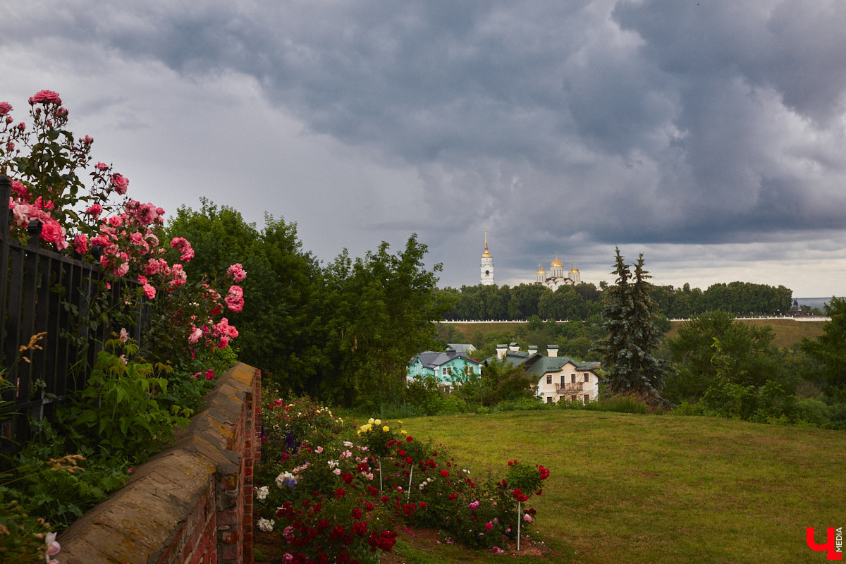 Нас пугали, что лето 2023 года станет самым жарким за 150 лет, но июнь смыл все ожидания прохладным дождем. Теперь эстафету перехватил его братец — июль. Согласно прогнозам, месяц решительно настроен на тепло, правда, стартует он не только с высокой температуры, но и с локальных дождей на пару с грозами, которые создадут в 33-м регионе атмосферу тропического острова.