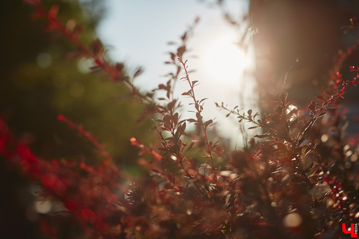 Нас пугали, что лето 2023 года станет самым жарким за 150 лет, но июнь смыл все ожидания прохладным дождем. Теперь эстафету перехватил его братец — июль. Согласно прогнозам, месяц решительно настроен на тепло, правда, стартует он не только с высокой температуры, но и с локальных дождей на пару с грозами, которые создадут в 33-м регионе атмосферу тропического острова.