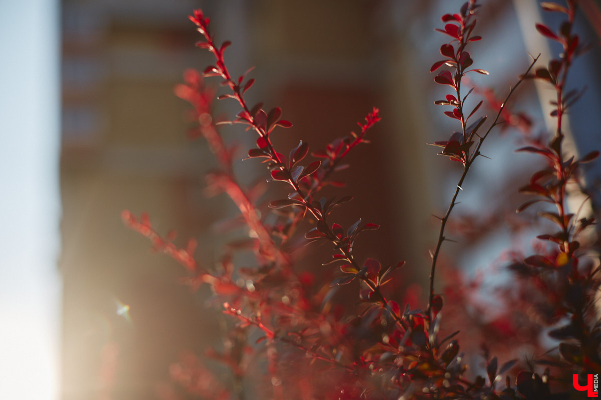 Нас пугали, что лето 2023 года станет самым жарким за 150 лет, но июнь смыл все ожидания прохладным дождем. Теперь эстафету перехватил его братец — июль. Согласно прогнозам, месяц решительно настроен на тепло, правда, стартует он не только с высокой температуры, но и с локальных дождей на пару с грозами, которые создадут в 33-м регионе атмосферу тропического острова.