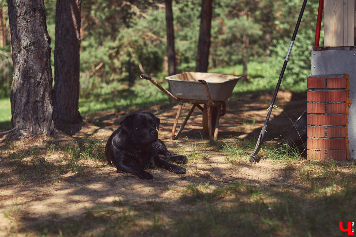 Знакомство с владениями семьи Найденовых начинается с великолепных ворот, на которых изображено солнце. На самом участке стоят большой деревянный дом, колодец, а под деревом — самовар. В общем, картина сказочная. Ну как тут не заглянуть в гости?