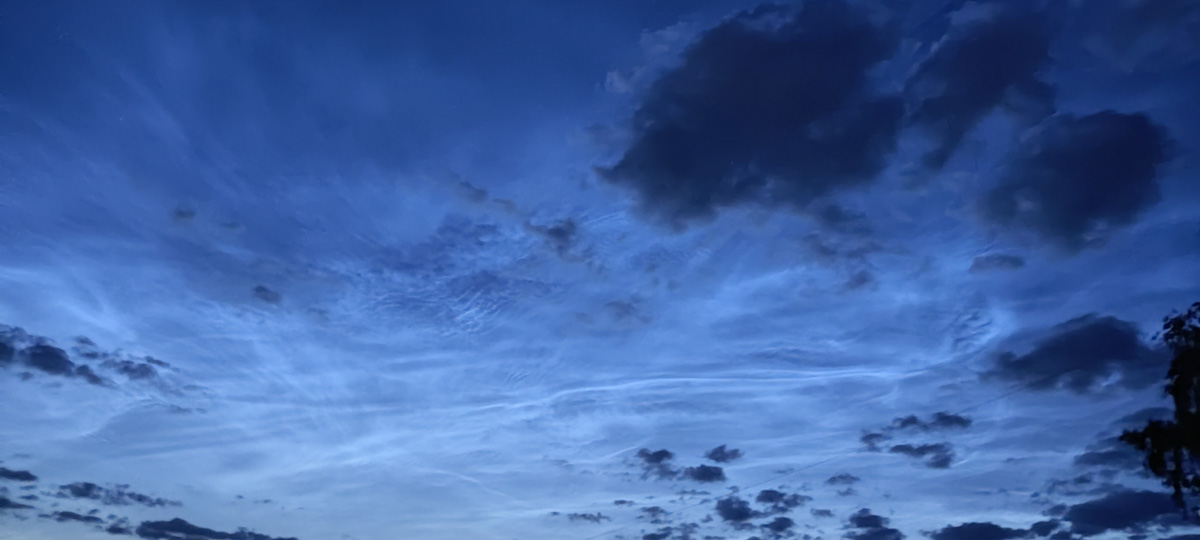 Жители Владимирской области стали свидетелями сразу двух редких явлений за одну ночь. Те, кому повезло, смогли увидеть и серебристые облака, и грозовое суперлуние. Красивыми снимками они активно делились в социальных сетях. Мы собрали все в один материал.